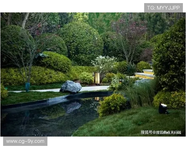 金奥足球场具体位置及周边环境全面解析